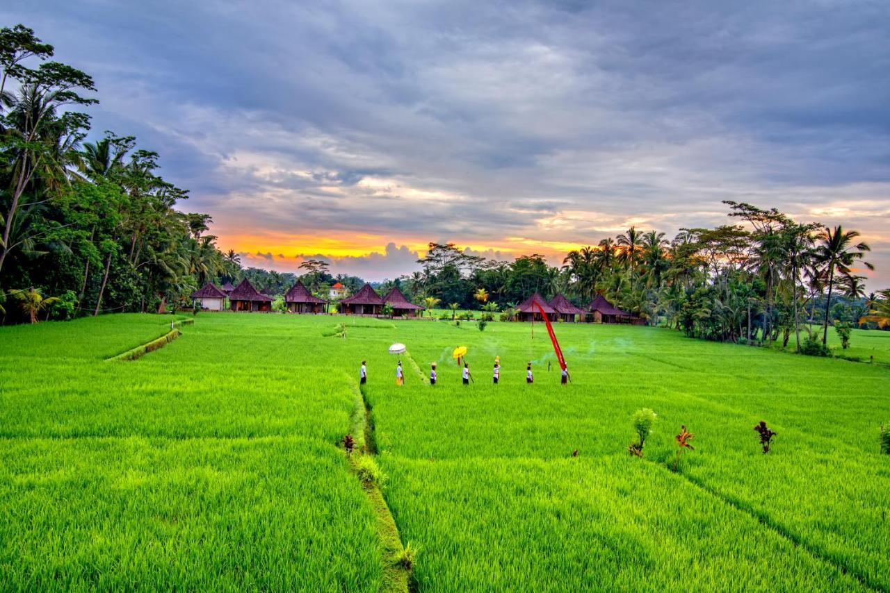 Intan Villa & Suite Ubud Εξωτερικό φωτογραφία