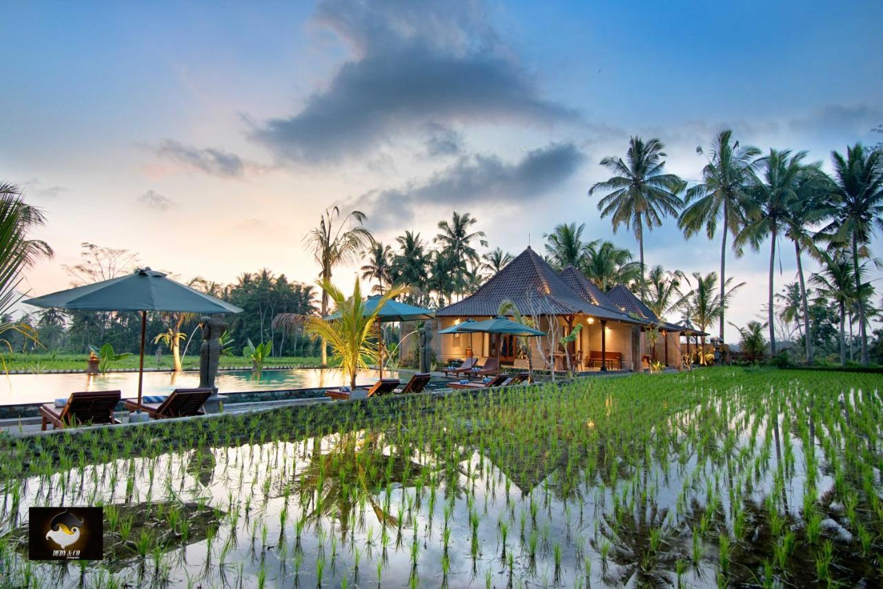 Intan Villa & Suite Ubud Εξωτερικό φωτογραφία
