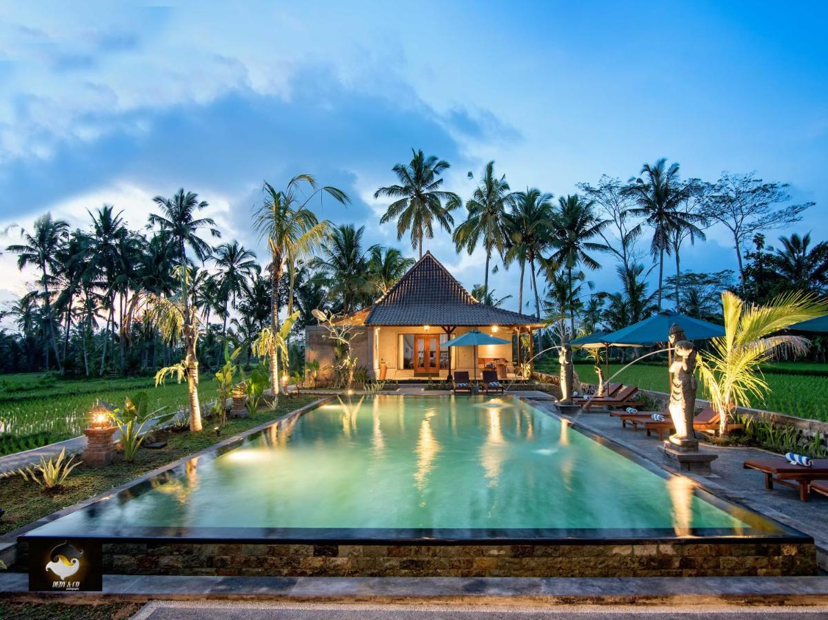 Intan Villa & Suite Ubud Εξωτερικό φωτογραφία