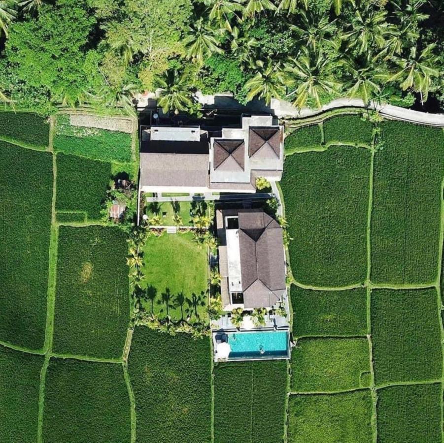 Intan Villa & Suite Ubud Εξωτερικό φωτογραφία